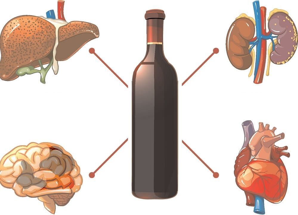 Alcohol damages the body